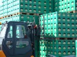 T 409 Double Pallet Handler
